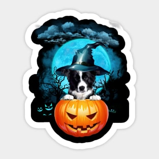 Border Collie Witch Hat Pumpkin And Blue Moon Halloween Sticker